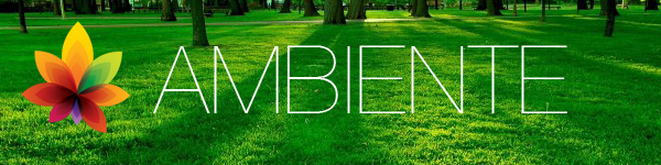 ambiente.jpg