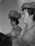 1950 - (31).jpg