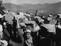 1957 - (14).jpg