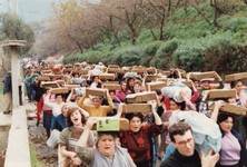 1990 - (11).jpg