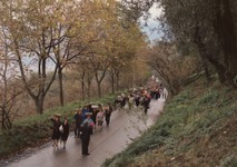 1990 - (24).jpg