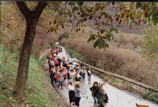1990 - (6).jpg